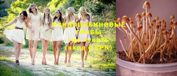герыч Новозыбков