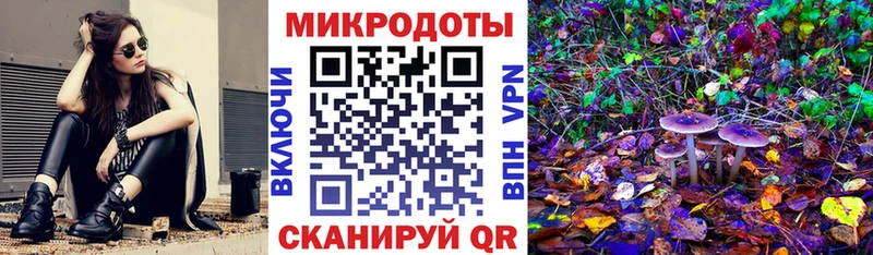 Галлюциногенные грибы прущие грибы  hydra вход  Заволжье  цена наркотик 