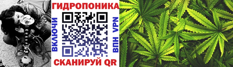 KRAKEN вход  Заволжье  Бошки марихуана AK-47 